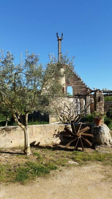 Apartment Annexo Llucmajor (Mallorca)