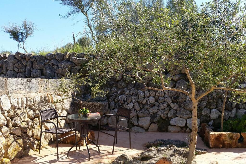 Annexo * Llucmajor (Mallorca)
