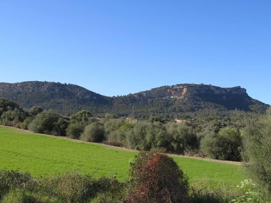Annexo * Llucmajor (Mallorca)